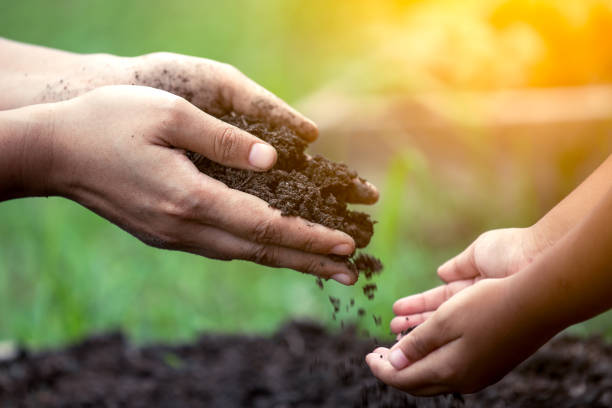 Premium Quality Seeds for Your Farm